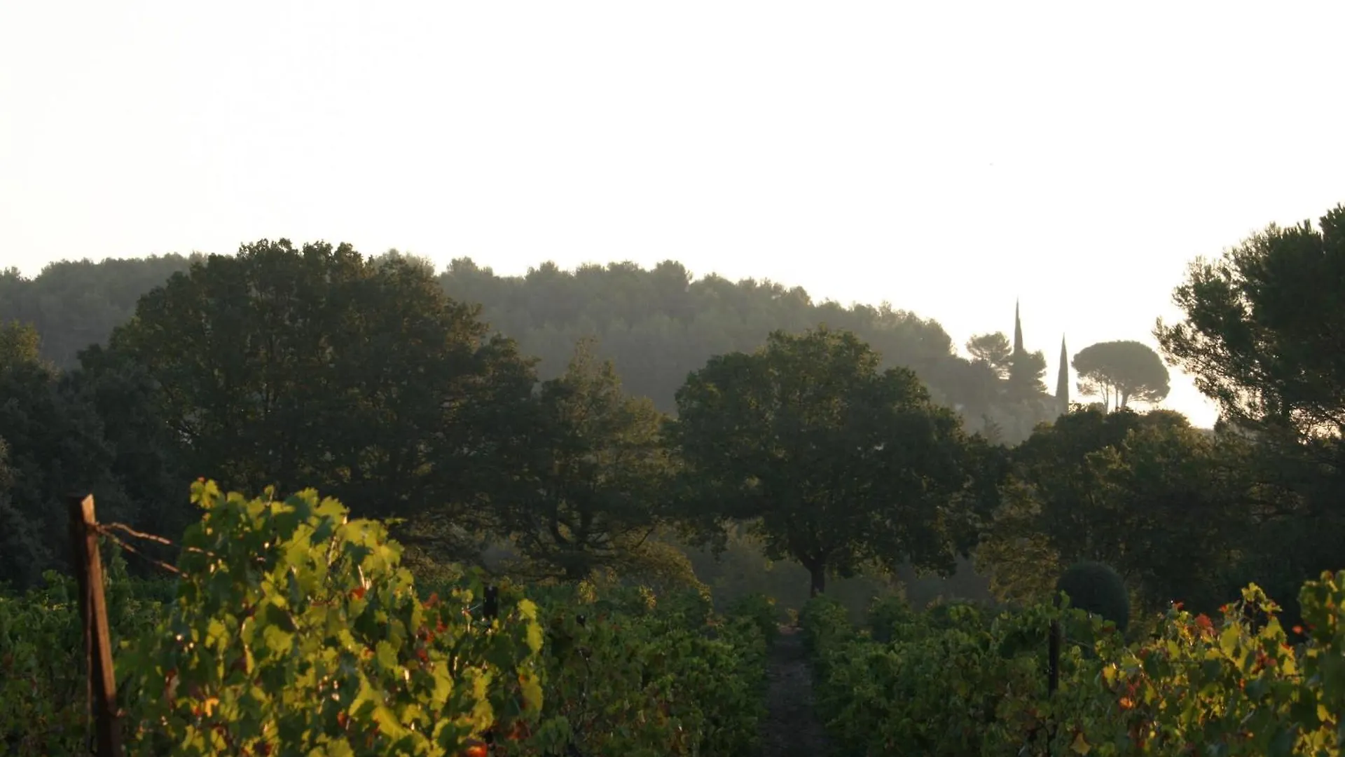 Chambre D'Hotes Chez Maguy B-Villa Makeire Gordes Bed & Breakfast